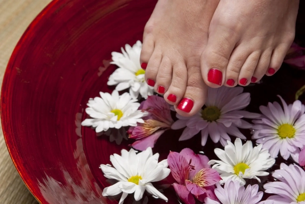 hand plant woman flower petal